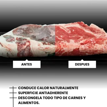 Bandeja de Descongelamiento Rápido